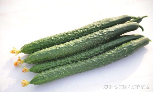 知柏地黄丸和多维元素片在一起吃行不-知柏地黄丸和维生素b1可以同吃吗、仲景知柏地黄丸维生素D -知柏地黄丸和多维元素同服功效网