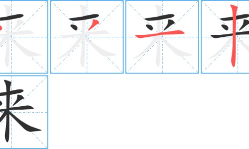 知柏地黄丸和维生素b1可以同吃吗-知柏地黄丸和维生素b1可以同吃吗、仲景知柏地黄丸维生素D -知柏地黄丸和多维元素同服功效网